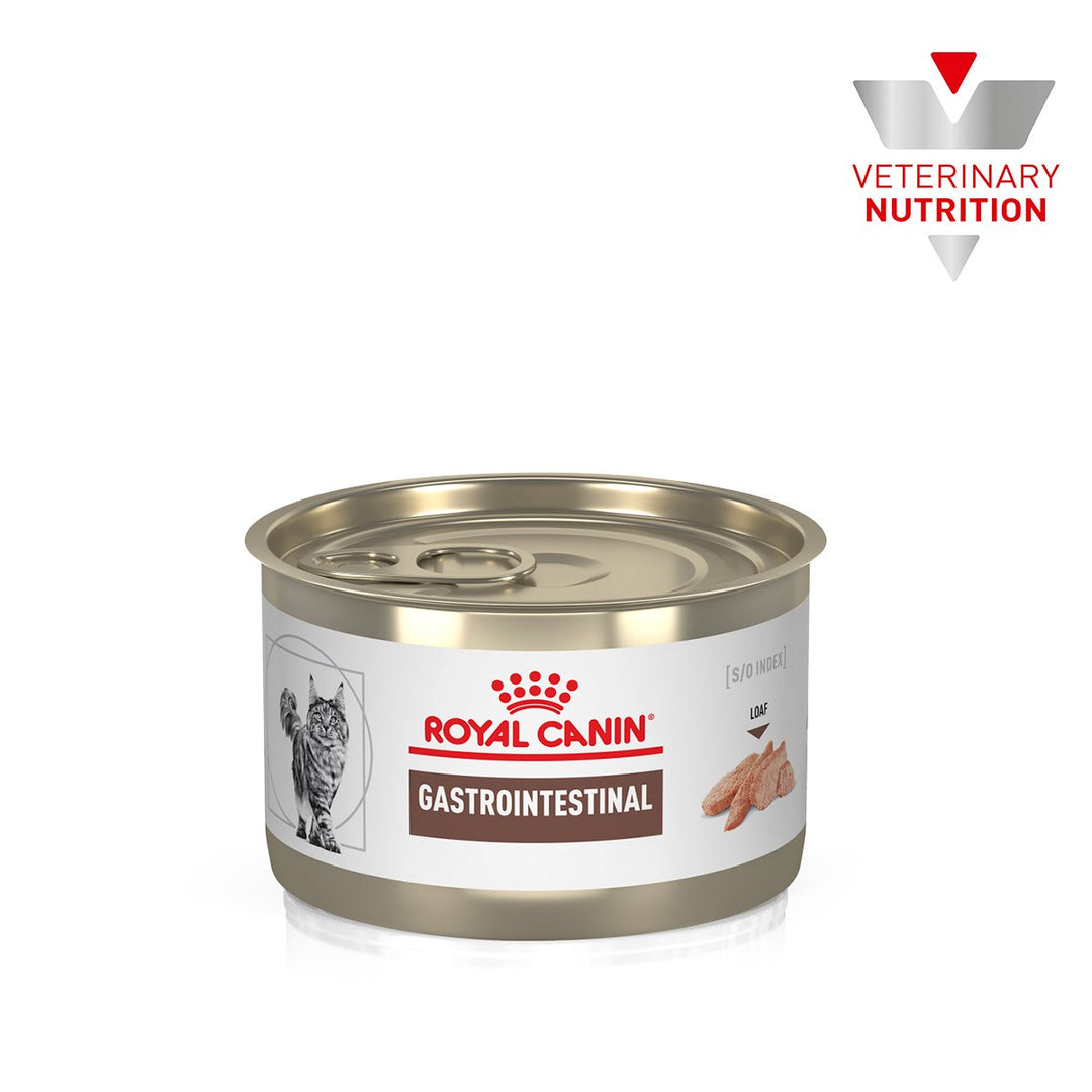 Royal Canin Gastrointestinal Felino | Alimento Húmedo 145 g