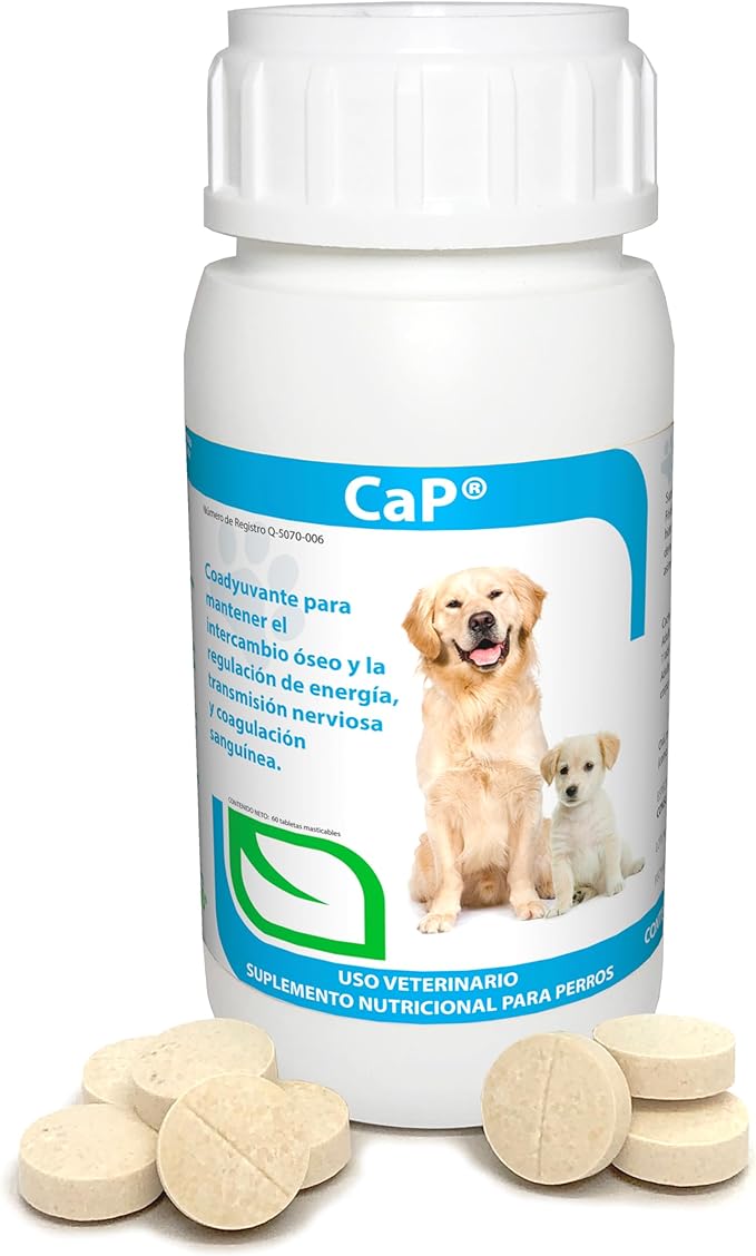 Ruiland Ca-P Suplemento Alimenticio para Perros Mantenimiento del Metabolismo Óseo Regulador de Energía Auxiliar en Deficiencia de Calcio y Fósforo Ingredientes Naturales, 60 tabletas