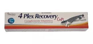 4 Plex Recovery Gato Gel 15 g | Multivitamínico y Energizante Oral