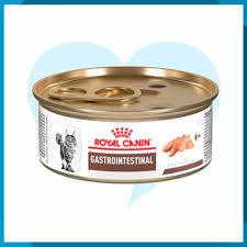 Royal Canin Prescipción Alimento Húmedo Gastro Intestinal para Gato Adulto, 145 g