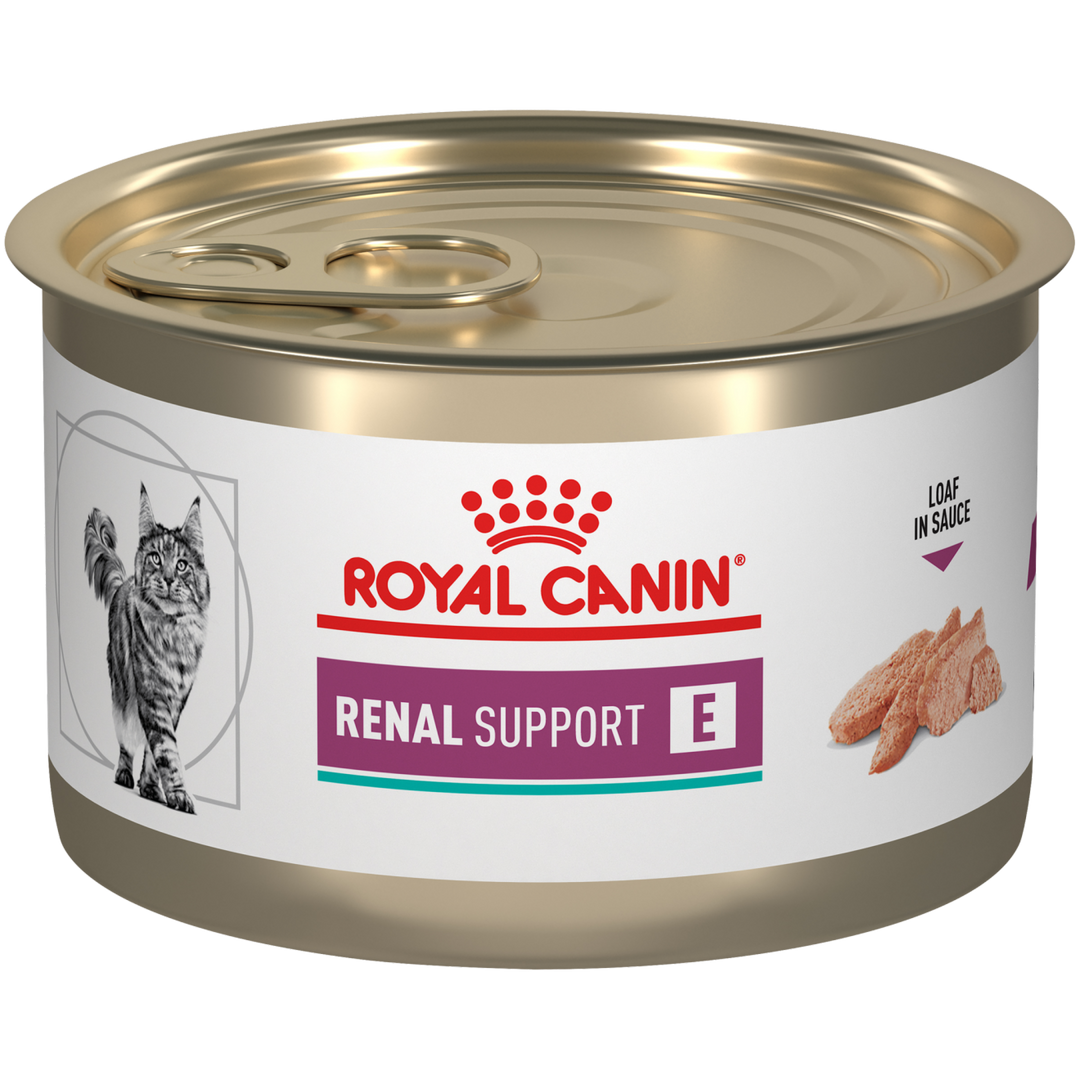 Royal Canin Prescripción Alimento Húmedo Renal Support E para Gato, 145 g