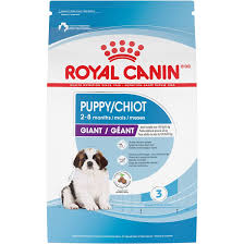 Royal Canin Alimento Seco Development Puppy Giant Dog para Cachorro Raza Gigante, 13.6 kg