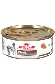 Royal Canin Prescripción Alimento Húmedo Recovery para Perro/Gato, 145 g
