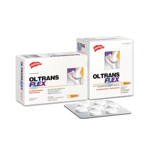 Holliday Ol Trans Flex para Perro, 70 comprimidos