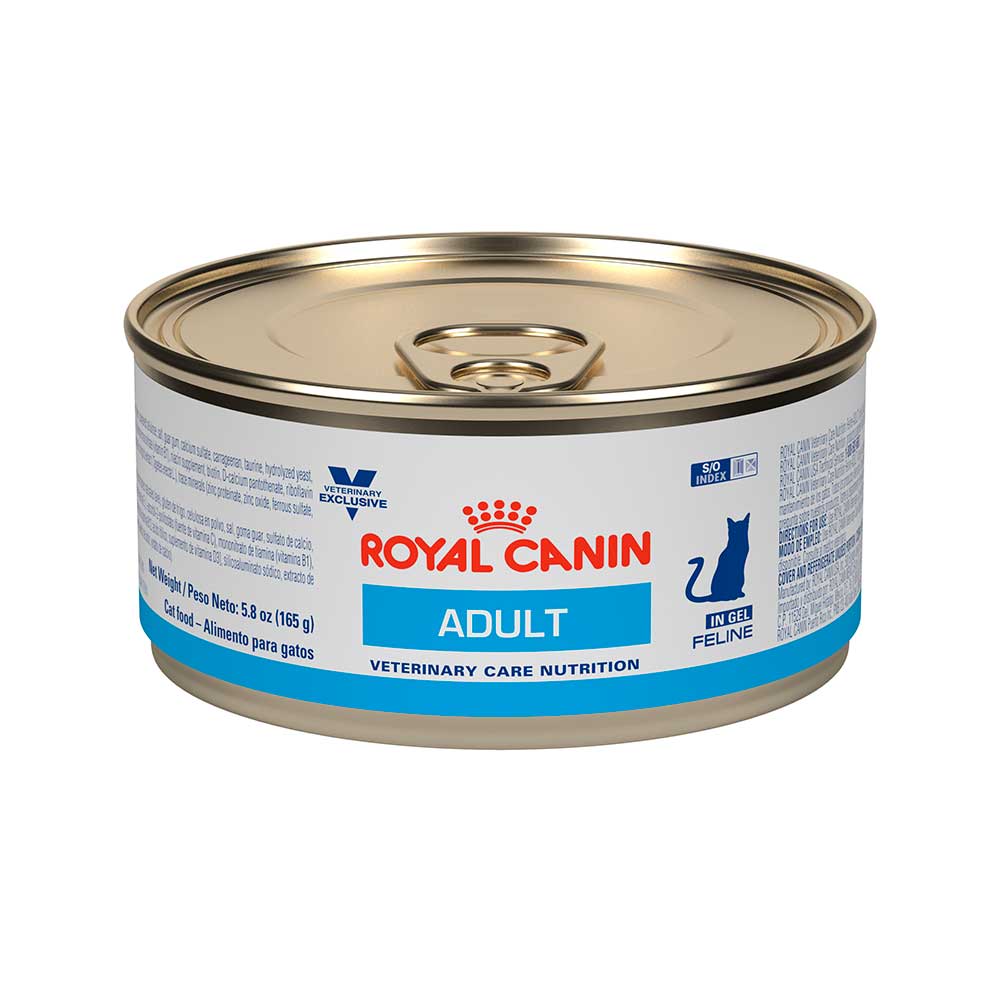 Royal Canin Alimento Húmedo Adult Feline para Gato, 0.085 g