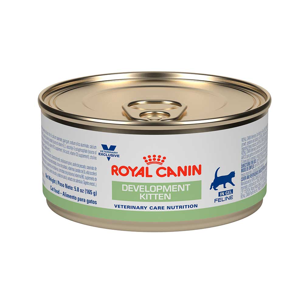 Royal Canin Lata Development Kitten Para Gato 145 g