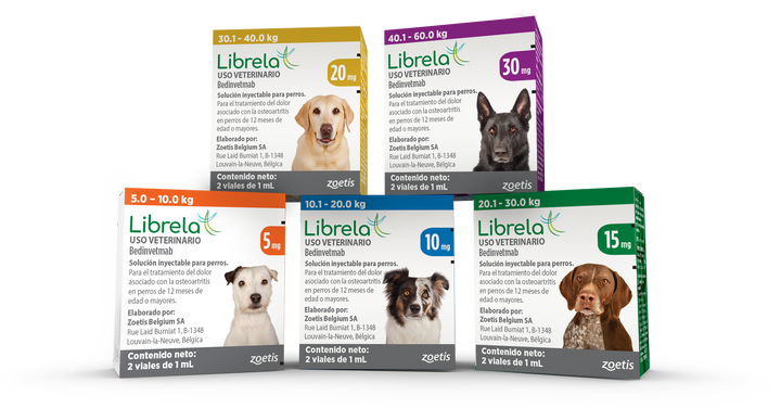 Zoetis Librela Perros 5-30 mg (2 viales) | Alivio del Dolor Articular Canino