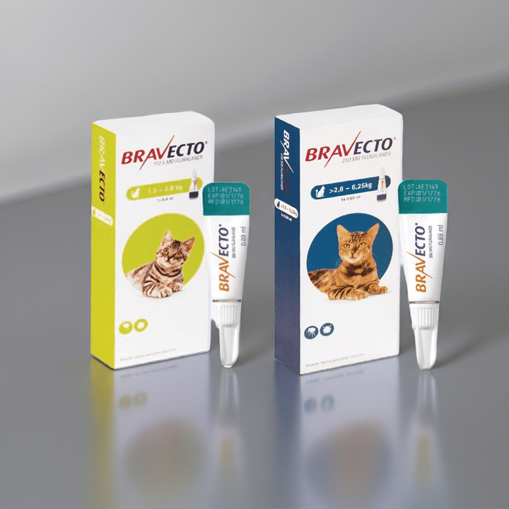 Bravecto Spot On Plus para Gato | Pipeta Desparasitante Externa de Larga Duración