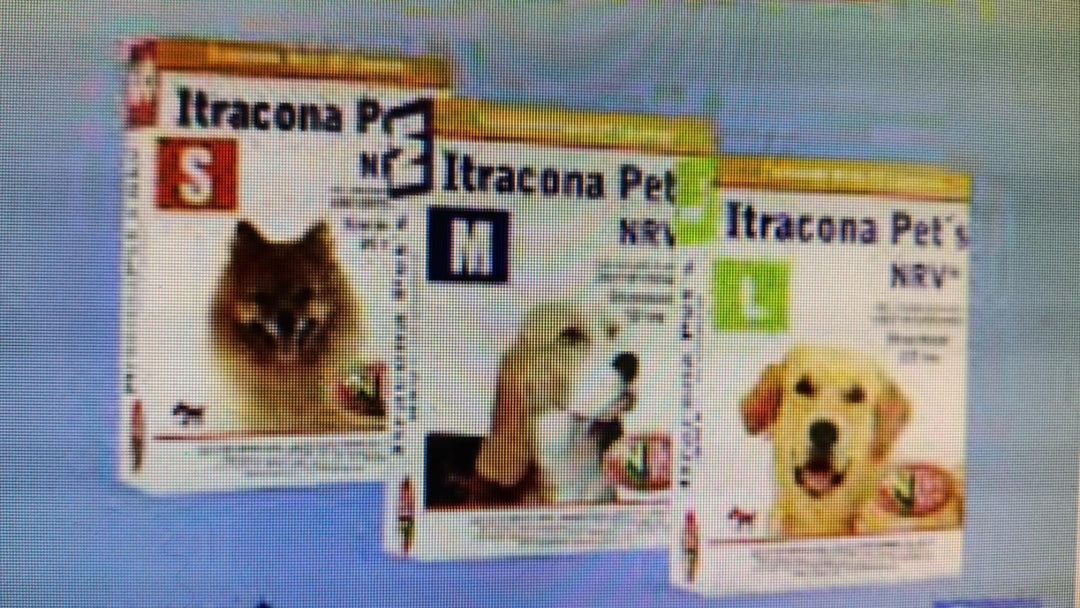 Norvet Itracona Pets para Perro/Gato, 20 tabletas