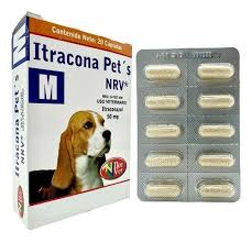 Norvet Itracona Pets para Perro/Gato, 20 tabletas