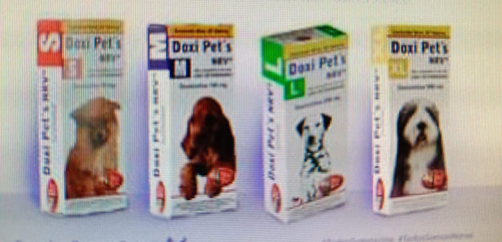 Norvet Doxi Pet´s Antibiótico para Perro y Gato, 30 Tabletas – HappyVet ...