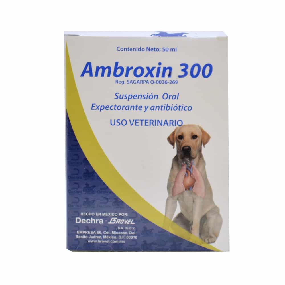 Brovel Ambroxin 300 para Perro, 50 ml