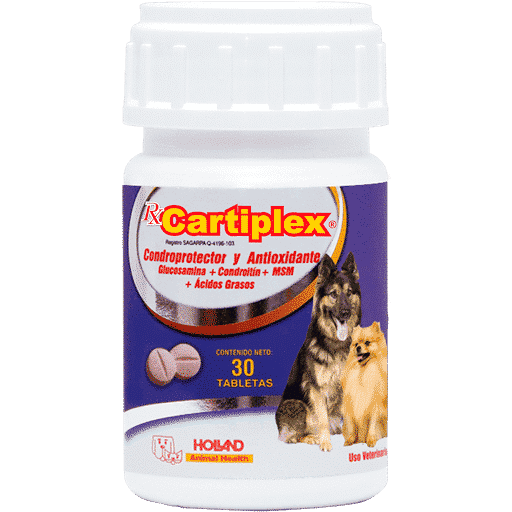 Holland Cartiplex Suplemento nutricional para Perro, 30 tabletas