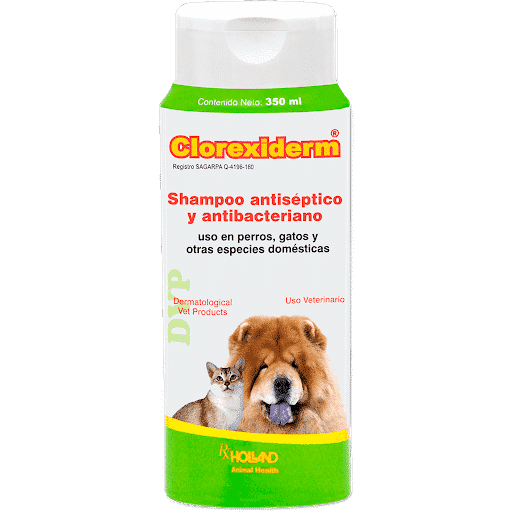 Holland Clorexiderm Shampoo Antiséptico para Perro/Gato, 350 ml