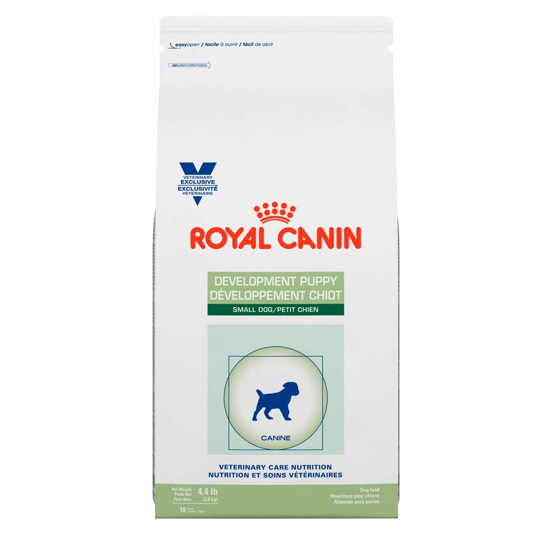 Royal Canin Alimento Seco Development Puppy Small Dog para Cachorro Raza Pequeña, 2 kg y 4 kg