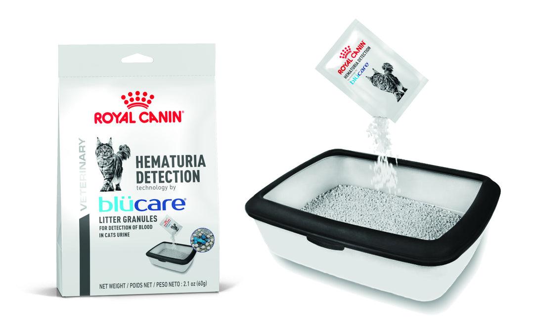 Royal Canin Hematuria Detection Tecnología por Blucare