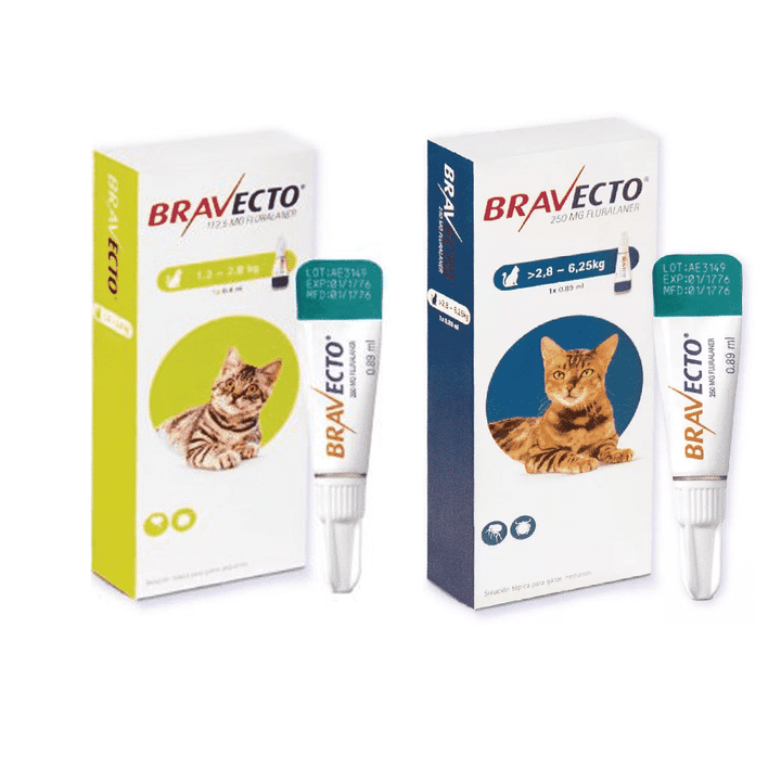 Bravecto Spot On Plus para Gato | Pipeta Desparasitante Externa de Larga Duración