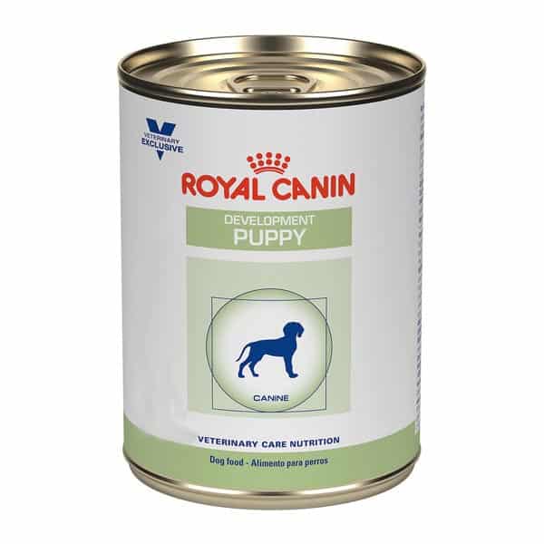 Royal Canin Alimento Húmedo Development Puppy para Cachorro Todas las Razas, 385 g