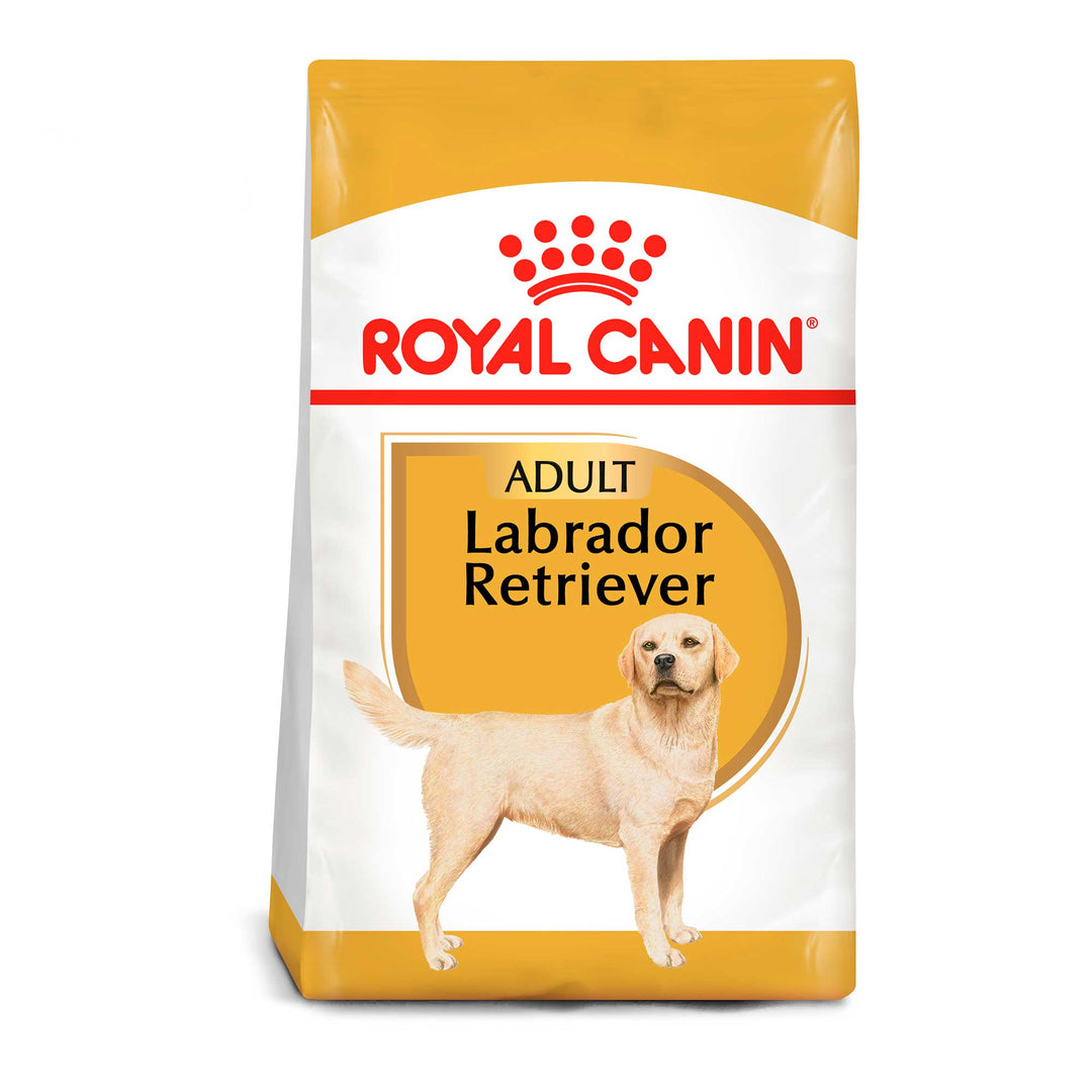 Royal Canin Alimento Seco Labrador Retriever para Perro Adulto, 13.6 kg
