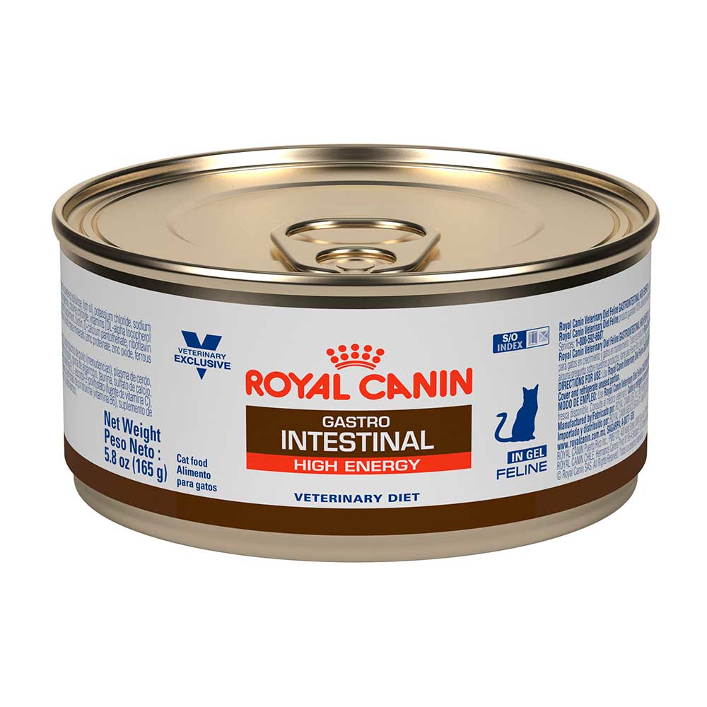 Royal Canin Prescipción Alimento Húmedo Gastro Intestinal High Energy para Gato Adulto, 145 g