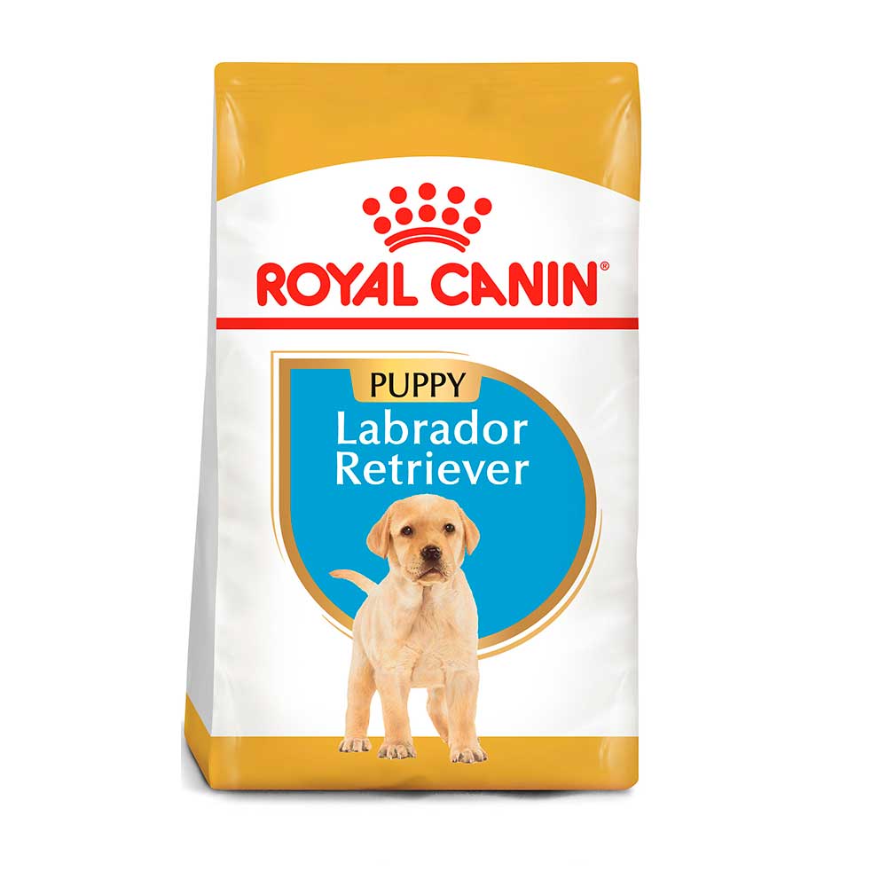 Royal Canin Alimento Seco Labrador Retriever para Cachorro, 13.6 kg